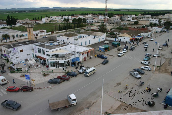 ولاية منوبة