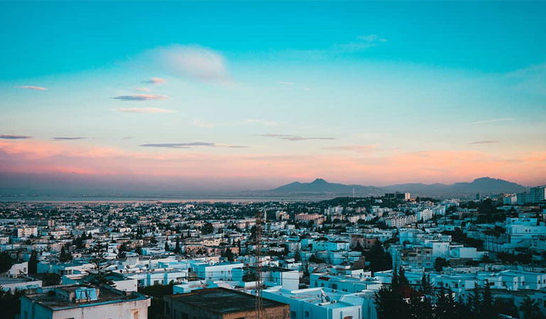 ولاية أريانة